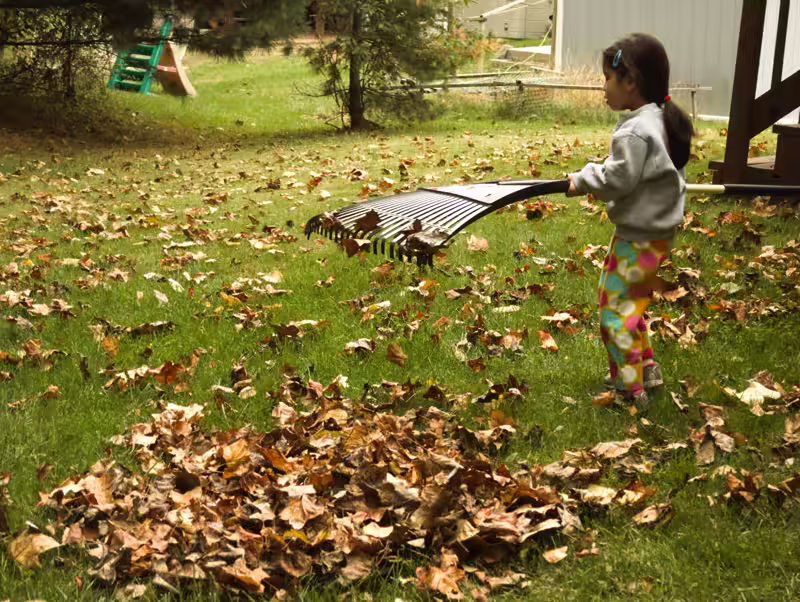 raking - 2015-10-24&ndash;008