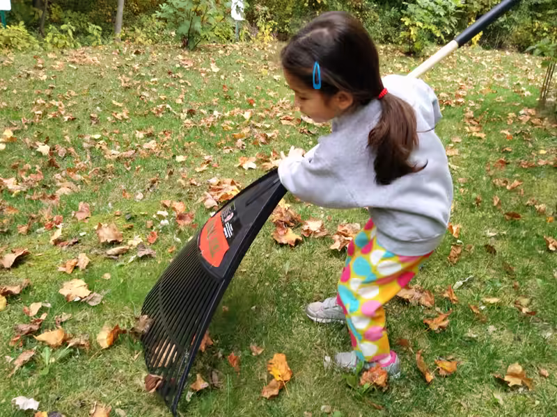 raking - 2015-10-24&ndash;009