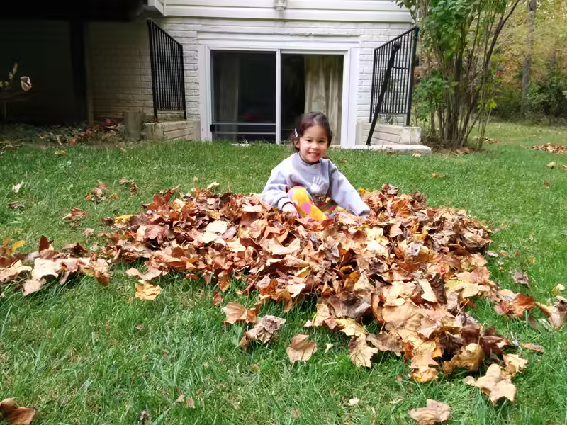 raking - 2015-10-24&ndash;011