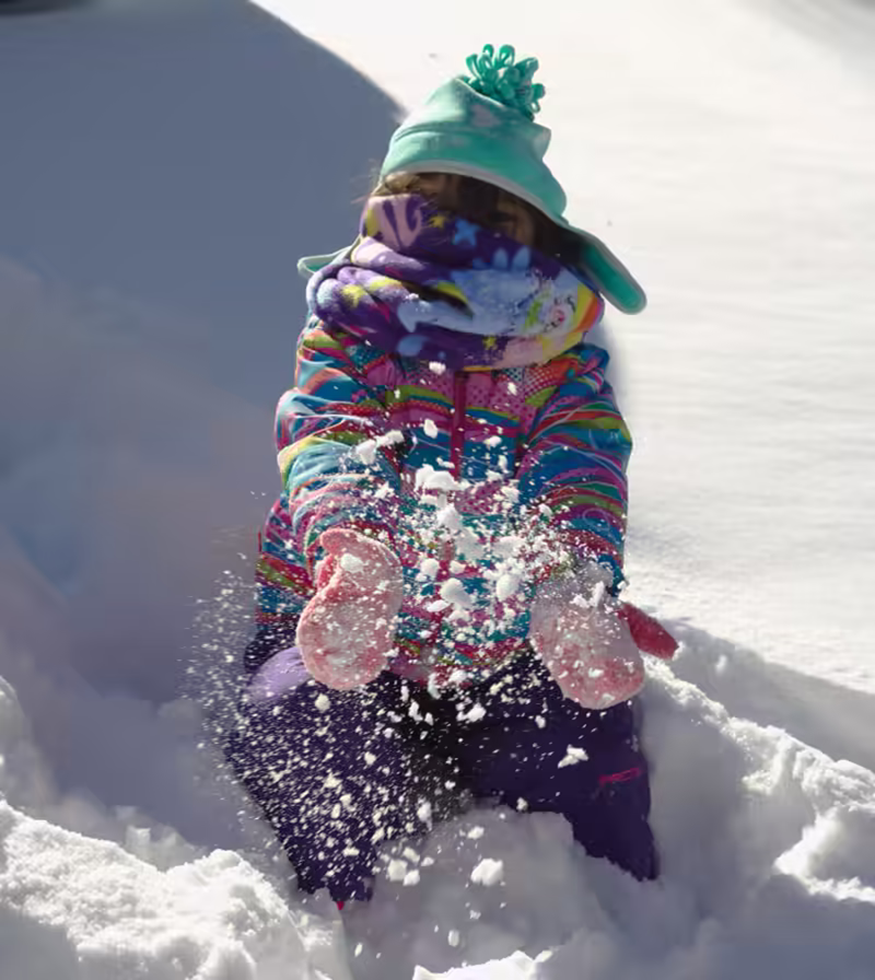 Feb Snowmageddon - 2016-01-24&ndash;022