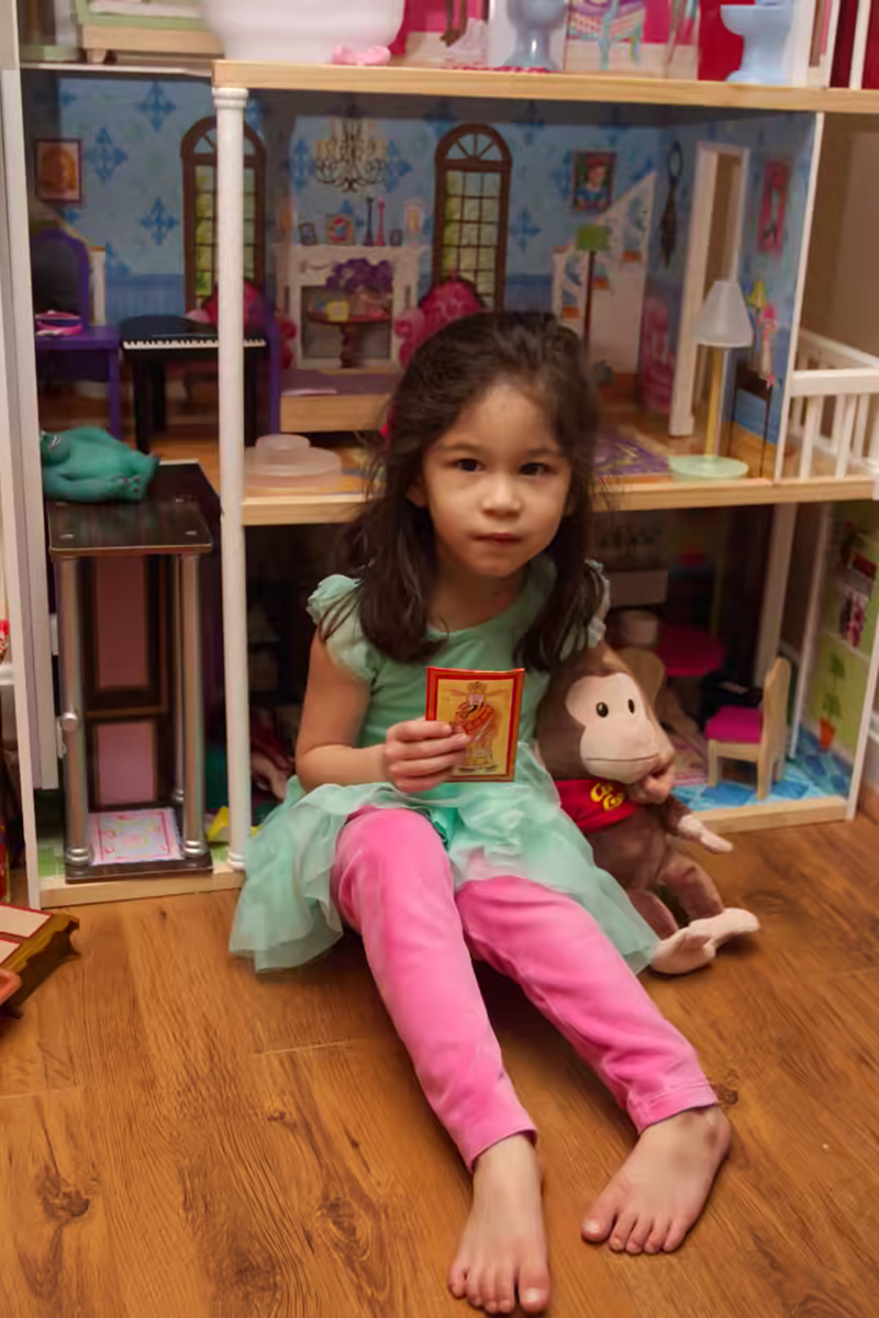 Scarlett and the Year of the Monkey