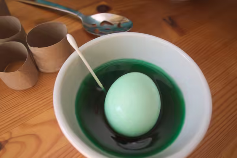 The green egg