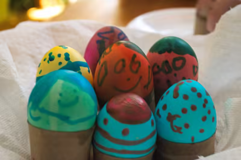 Colored eggs after Scarlett paints them