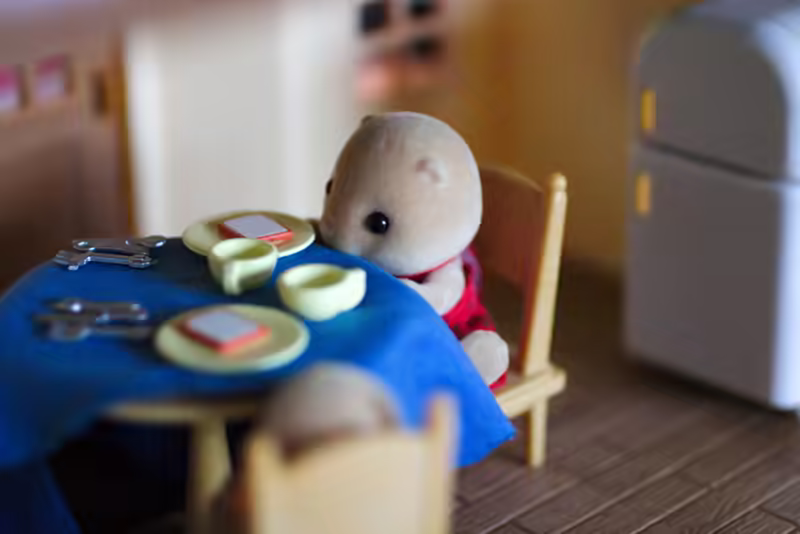 Calico Critters - 2016-07-12T10:37:14 - 008