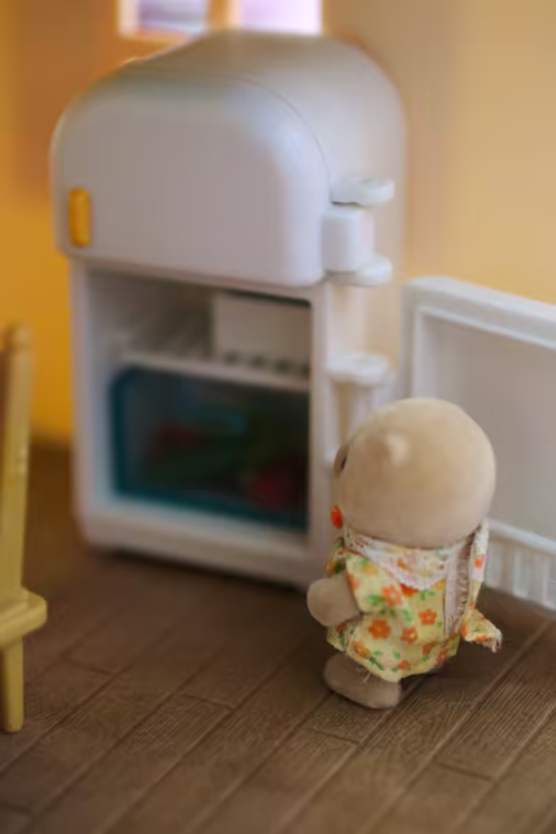 Calico Critters - 2016-07-12T10:37:47 - 009