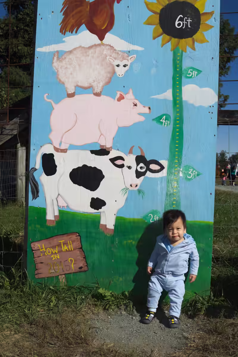 Annual Farm Height Measurement: Samuel