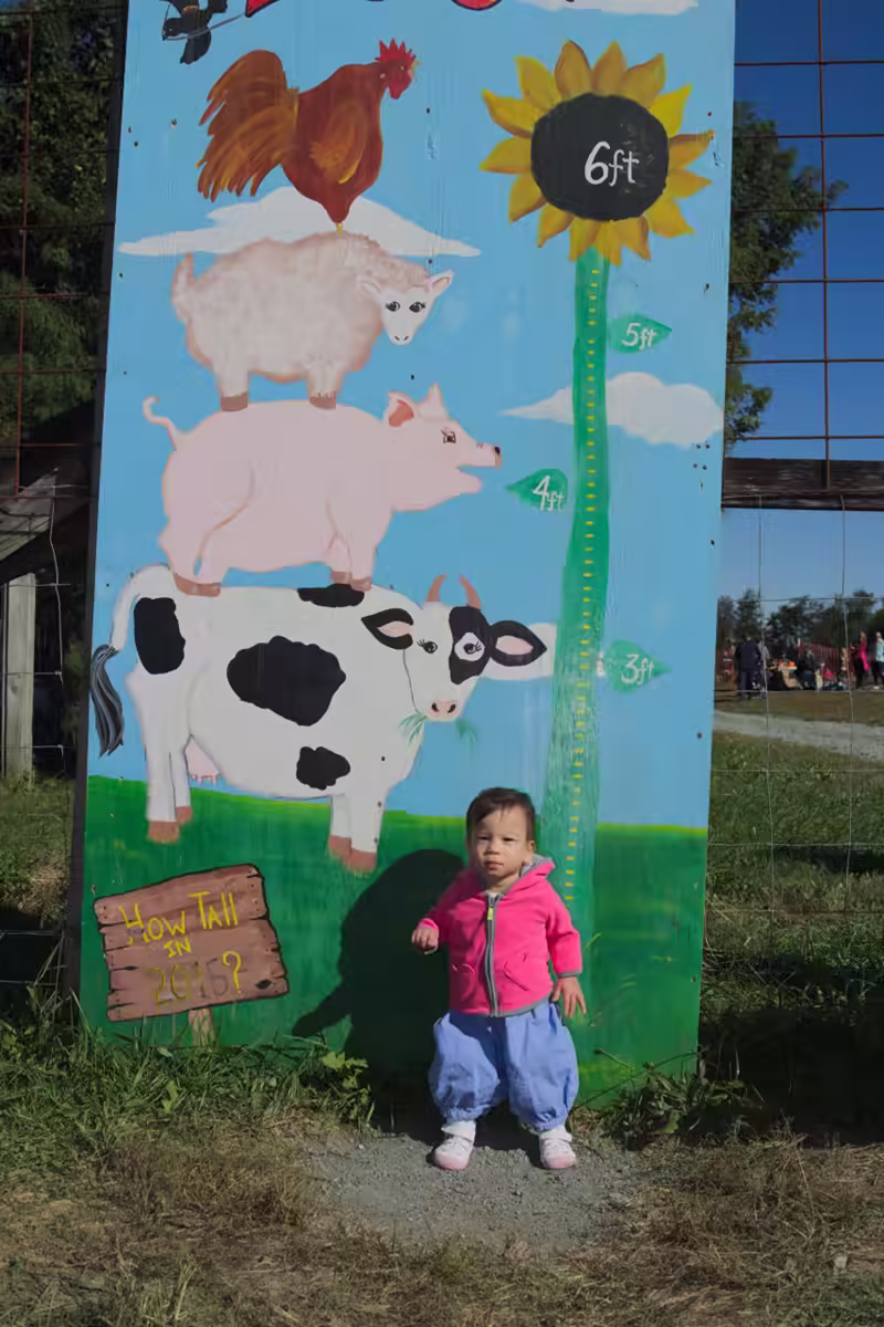 Annual Farm Height Measurement: Stella