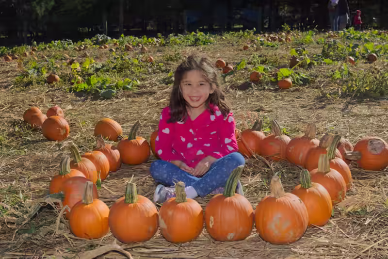 Scarlett and the Pumpkin Patch 2016