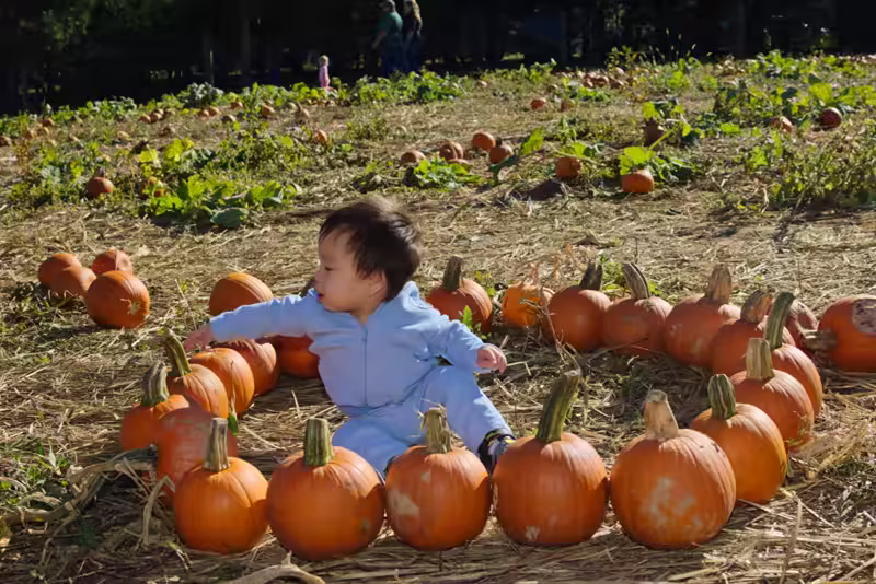 Sam’s First Pumpkin Patch Visit