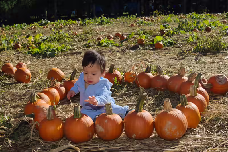 Sam’s First Pumpkin Patch Visit