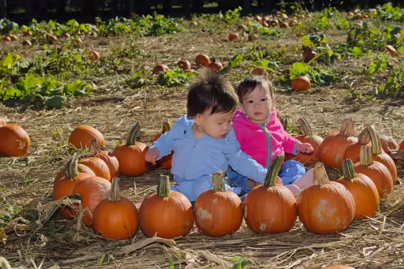 Twins at the Pumpkin Patch