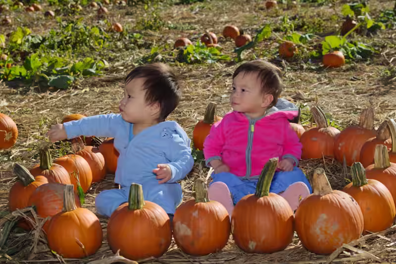 Twins at the Pumpkin Patch