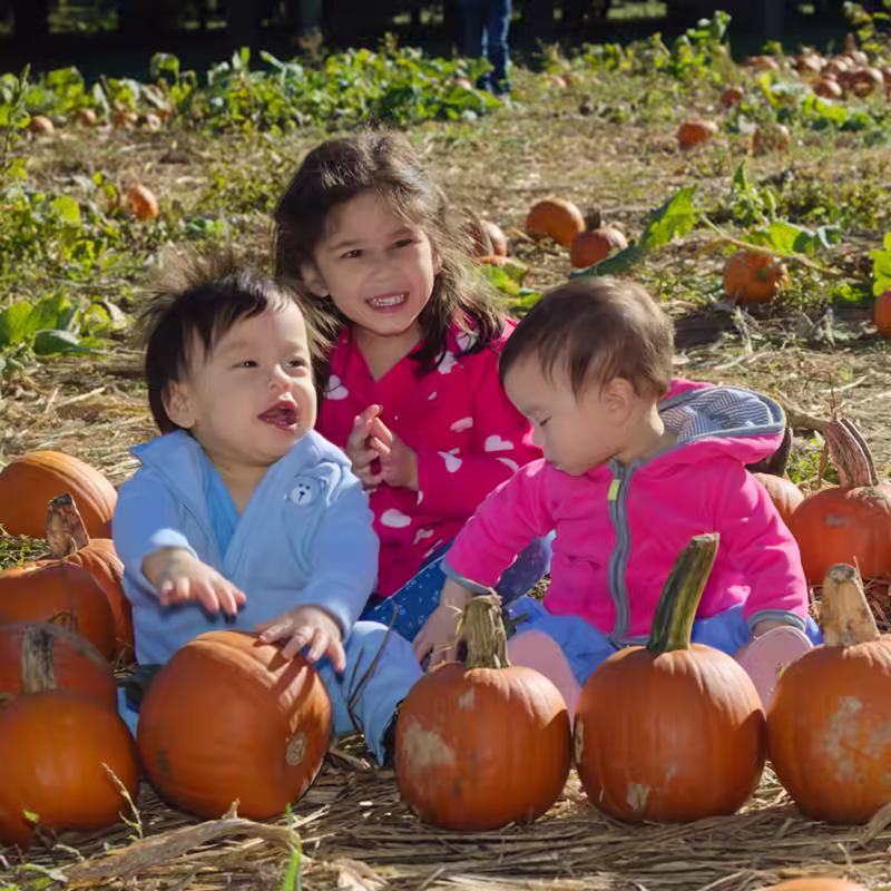 Pumpkin Patch Kids 2016
