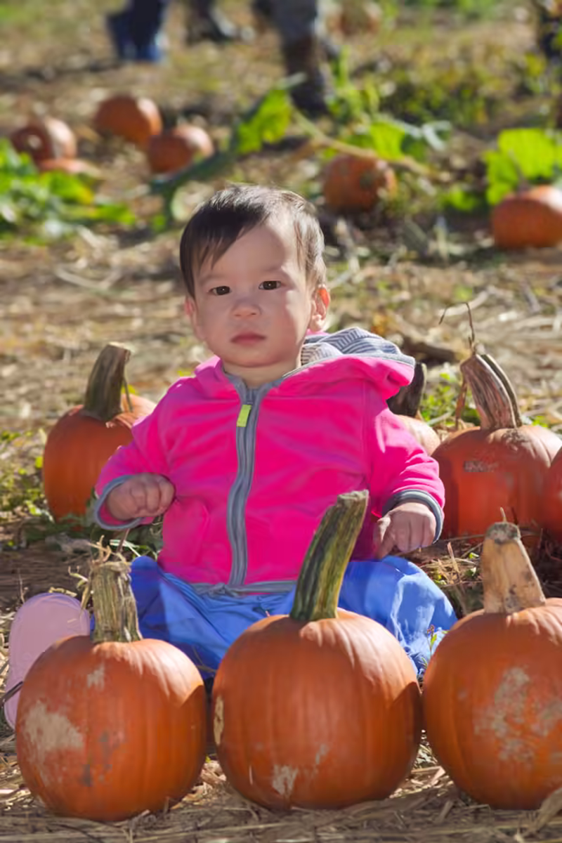 Stella’s First time at the Pumpkin Patch