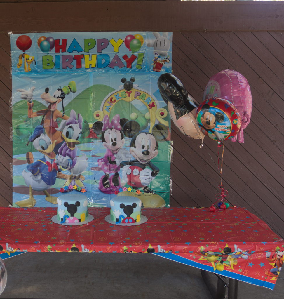 Sam and Stella 1st Bday - 2016-11-13T12:49:57 - 003