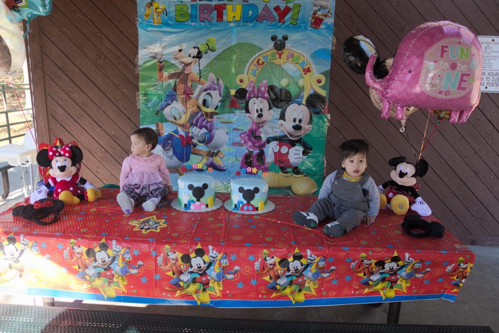 Sam and Stella 1st Bday - 2016-11-13T12:58:23 - 018