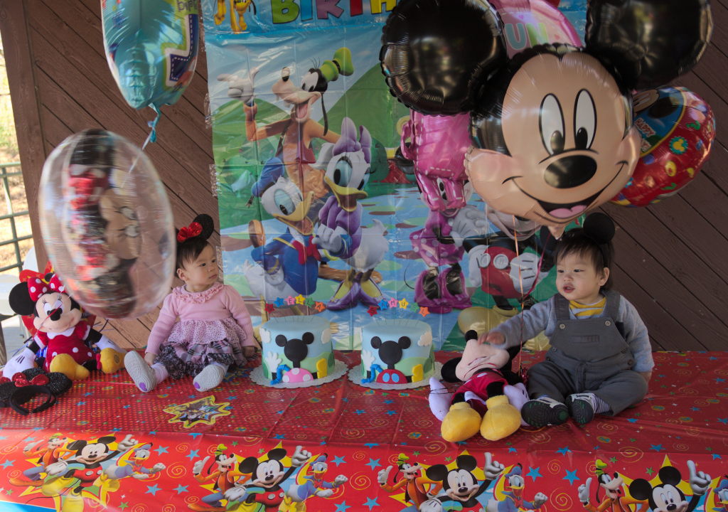 Sam and Stella 1st Bday - 2016-11-13T12:59:34 - 039
