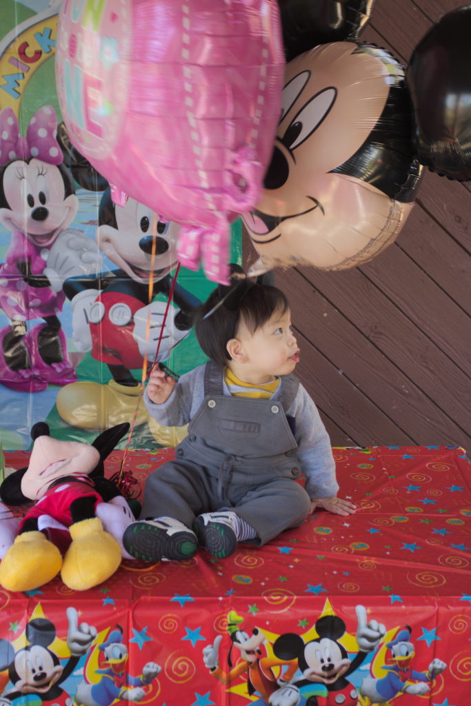 Sam and Stella 1st Bday - 2016-11-13T12:59:47 - 045