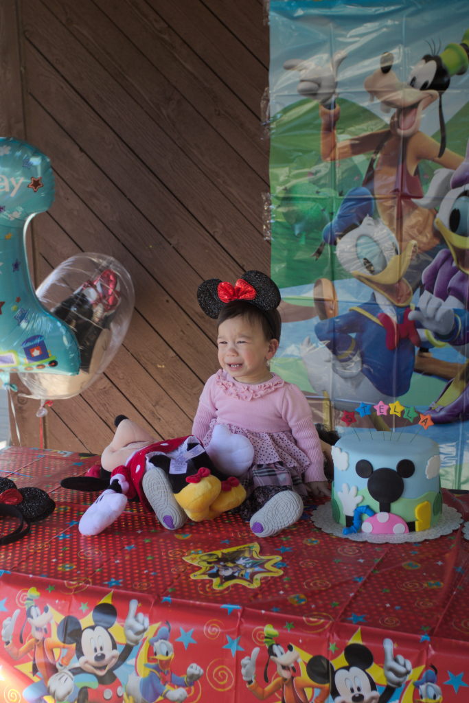 Sam and Stella 1st Bday - 2016-11-13T12:59:57 - 051