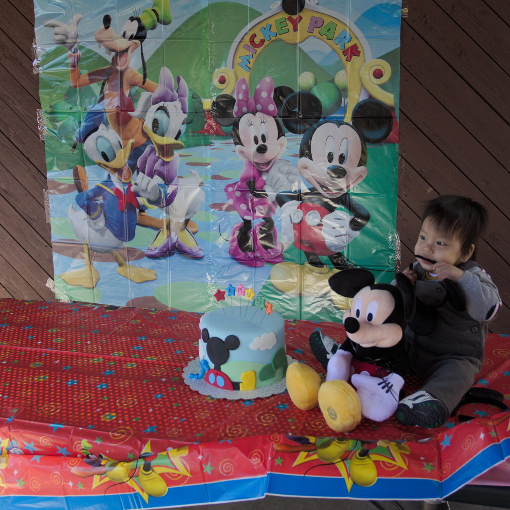 Sam and Stella 1st Bday - 2016-11-13T13:17:39 - 159