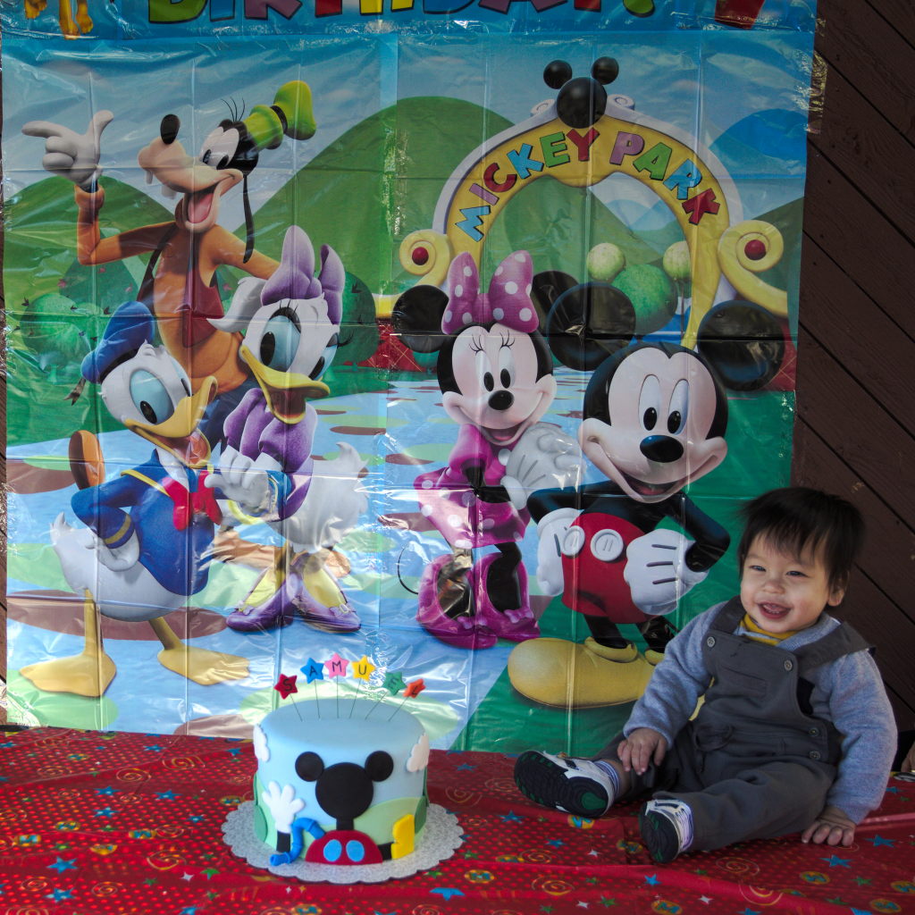 Sam and Stella 1st Bday - 2016-11-13T13:18:53 - 184