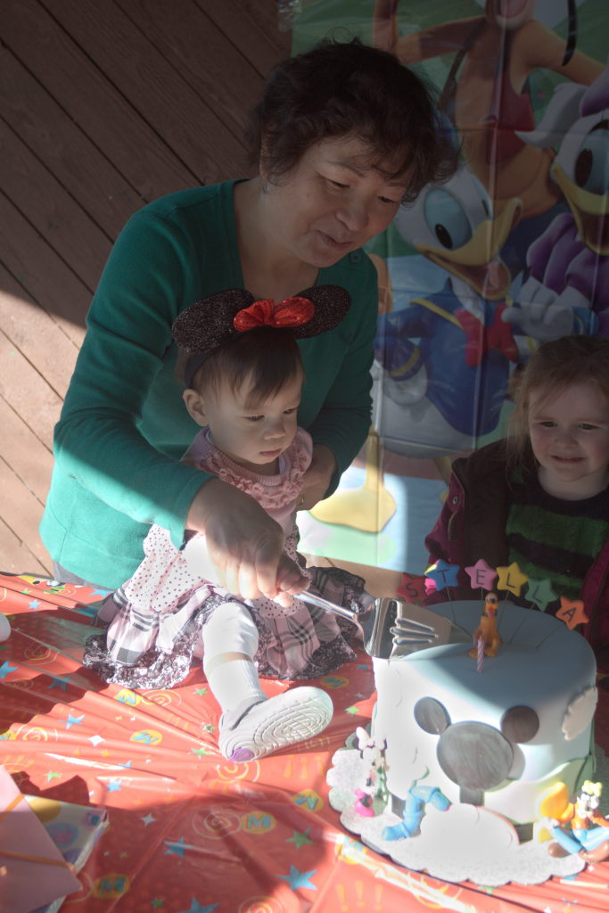 Sam and Stella 1st Bday - 2016-11-13T14:52:36 - 271