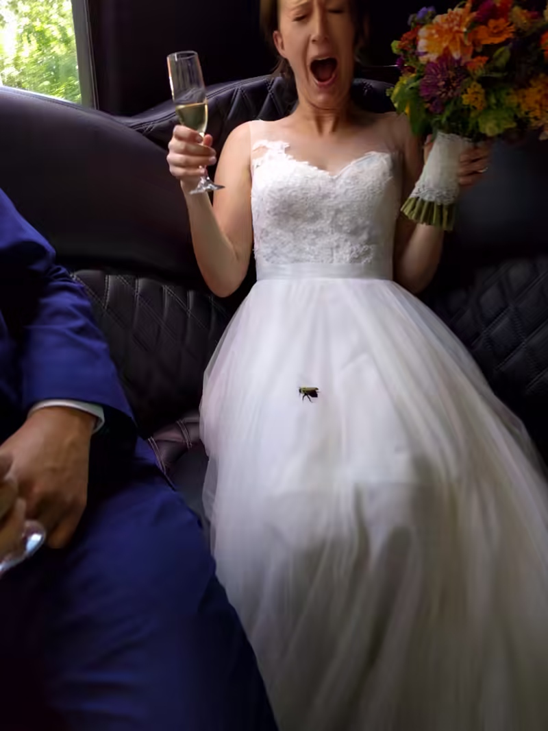 Dan and Katie Wedding - 2017-08-05T15:44:07 - 011
