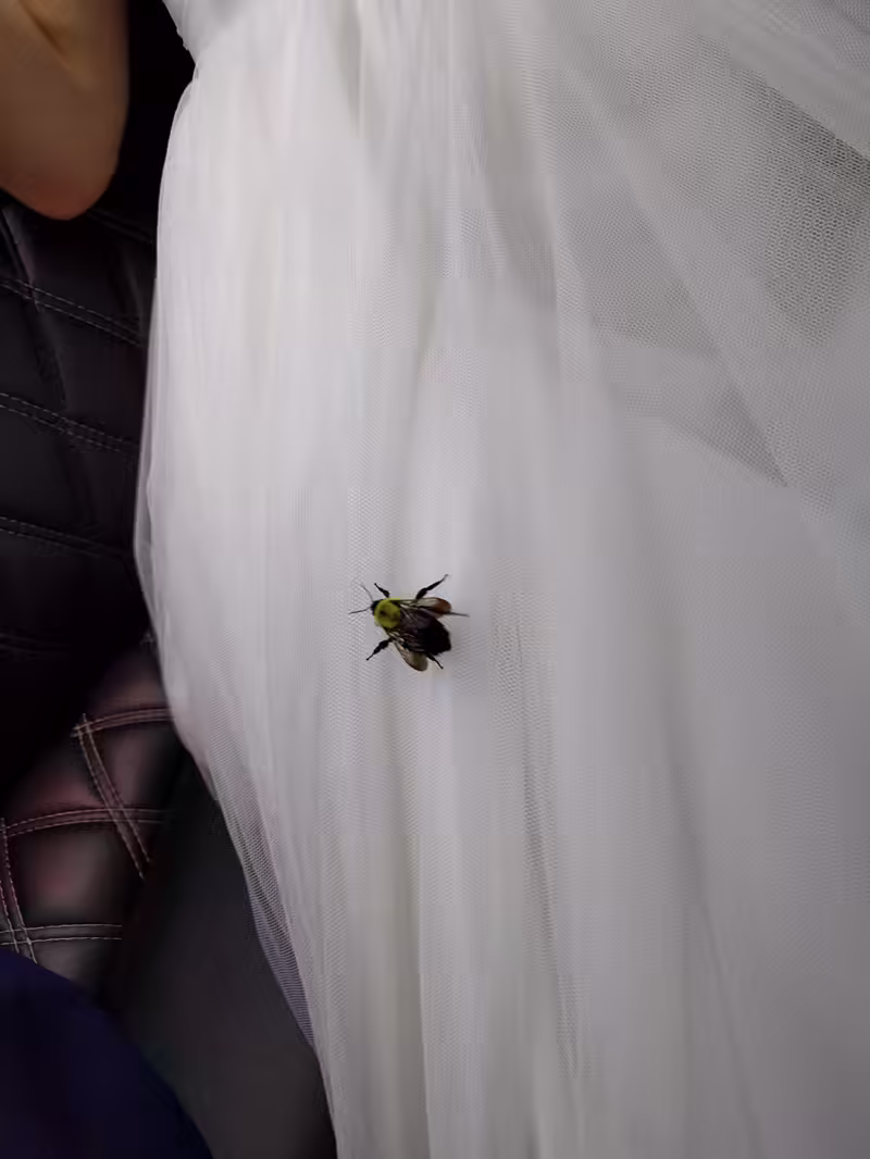 Dan and Katie Wedding - 2017-08-05T15:44:12 - 014