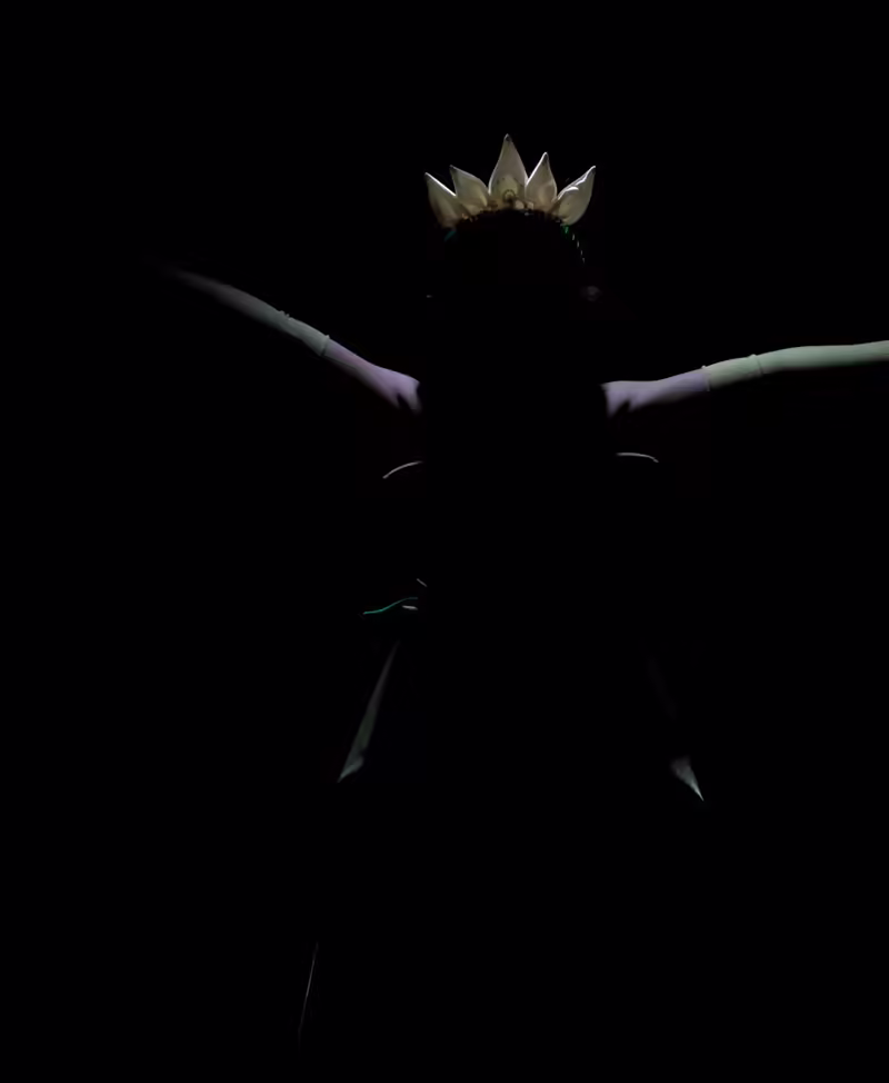 A Star Enters!