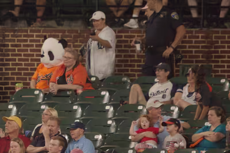 Panda at the game