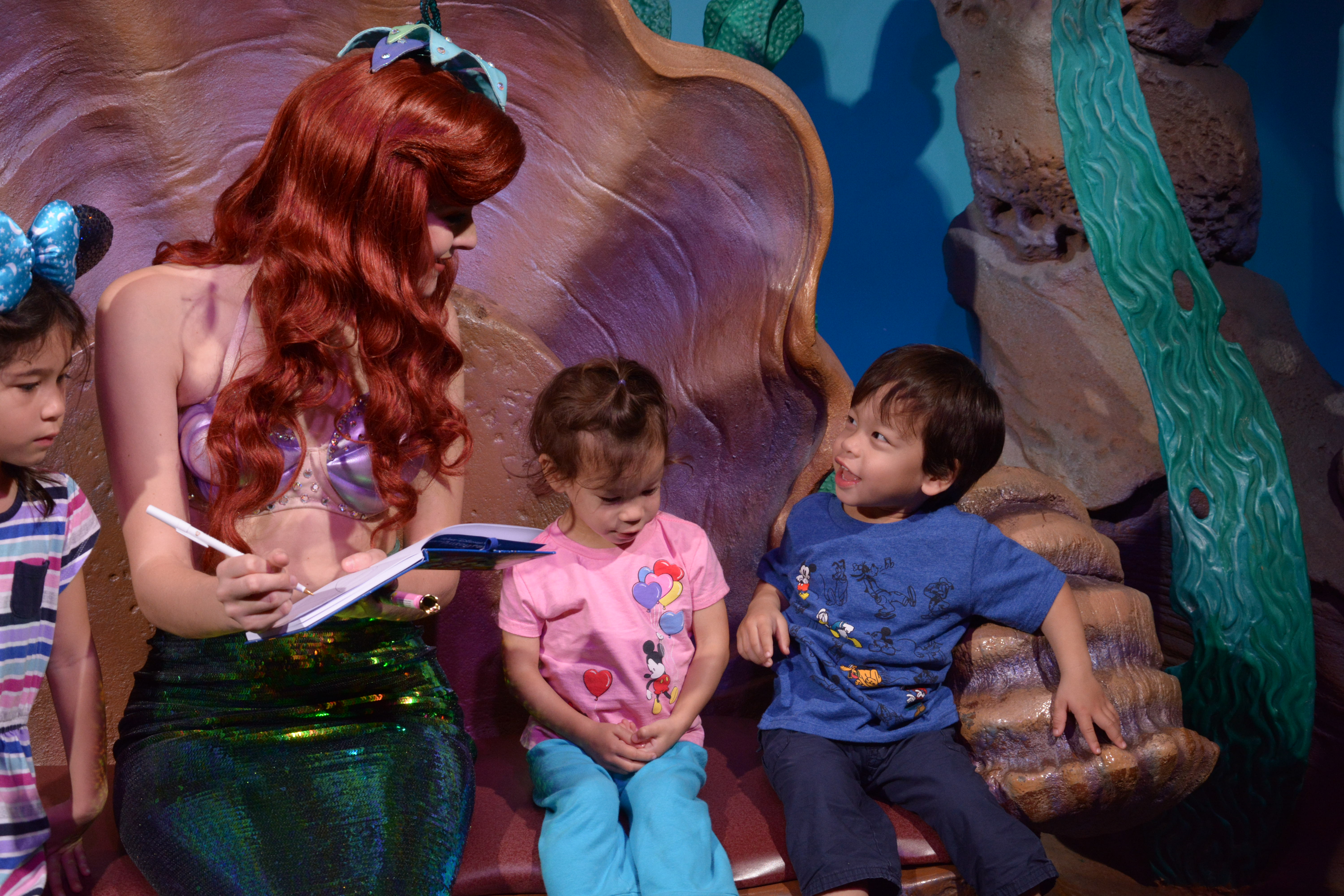 (taken by Disney photographers - used under WDW License)