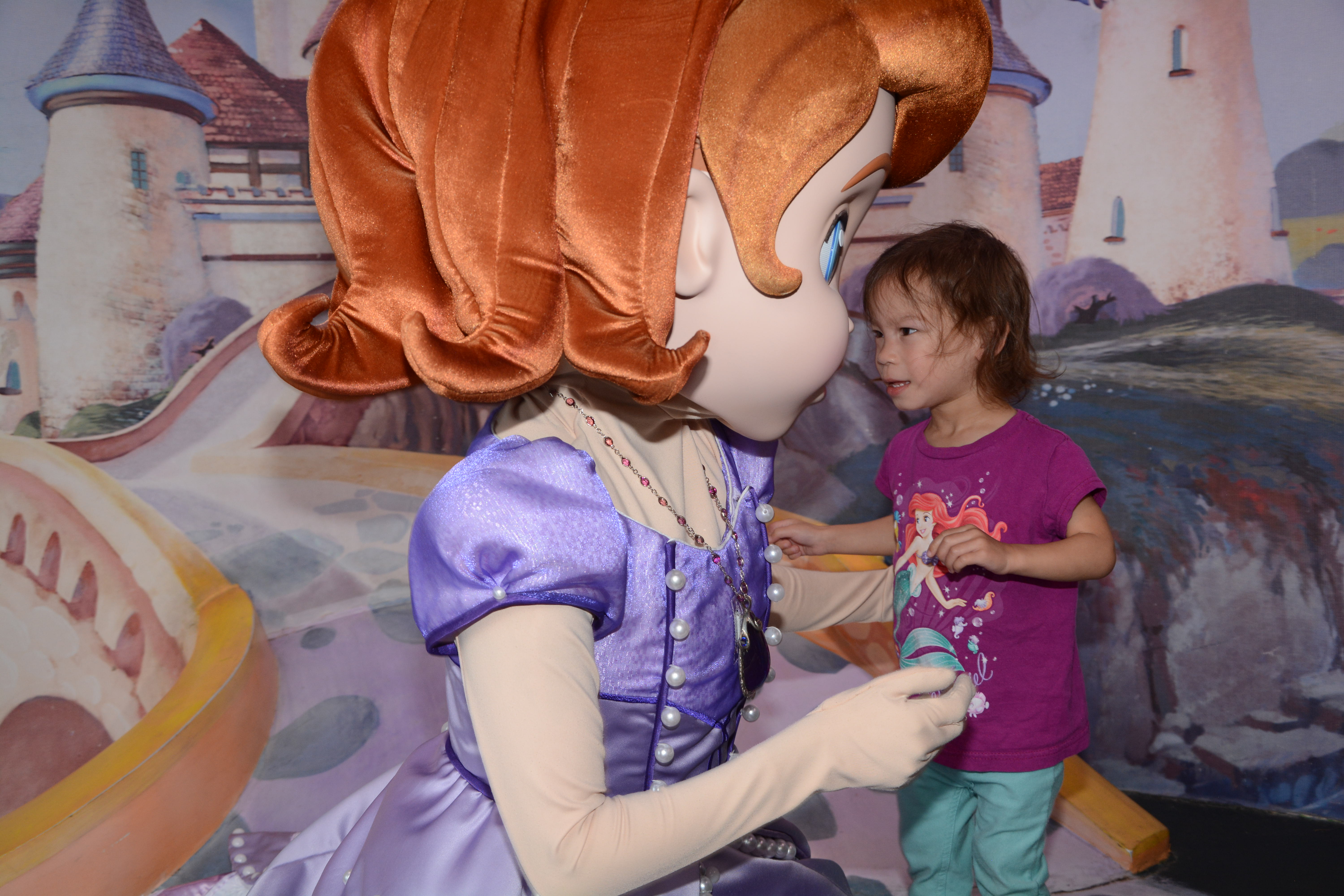 (taken by Disney photographers - used under WDW License)