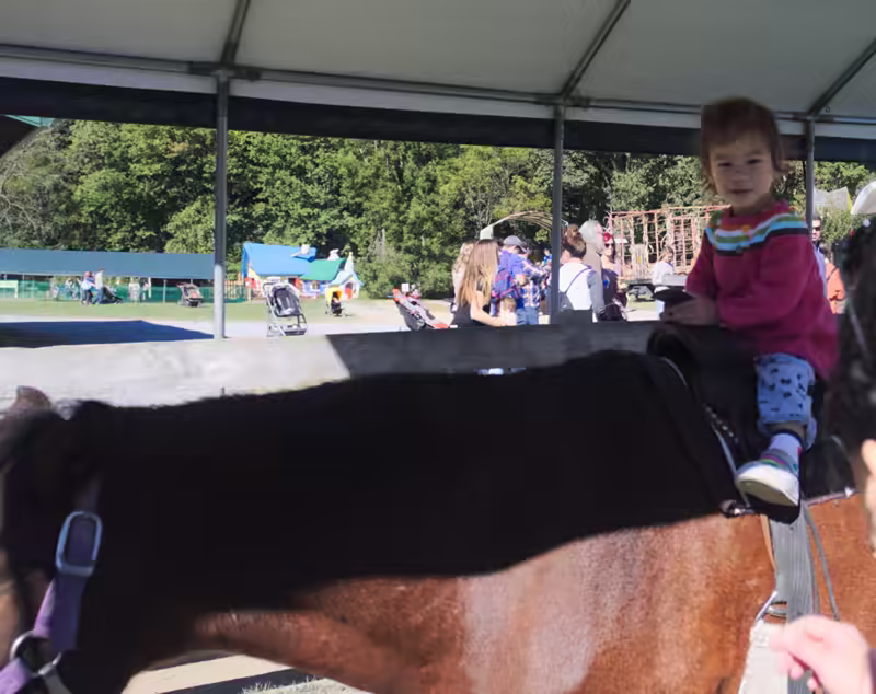 Stella riding a horse