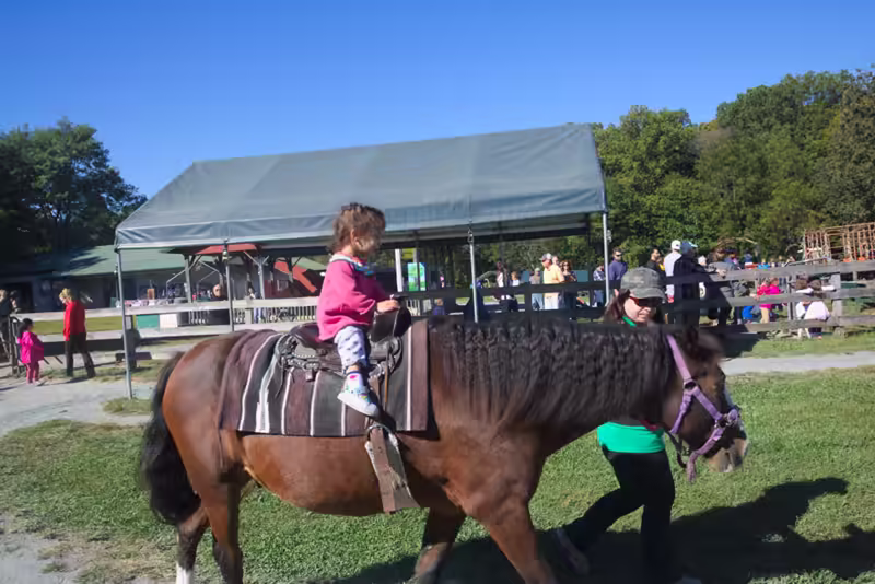 Stella riding a horse