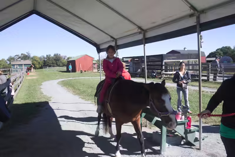 Scarlett riding a horse