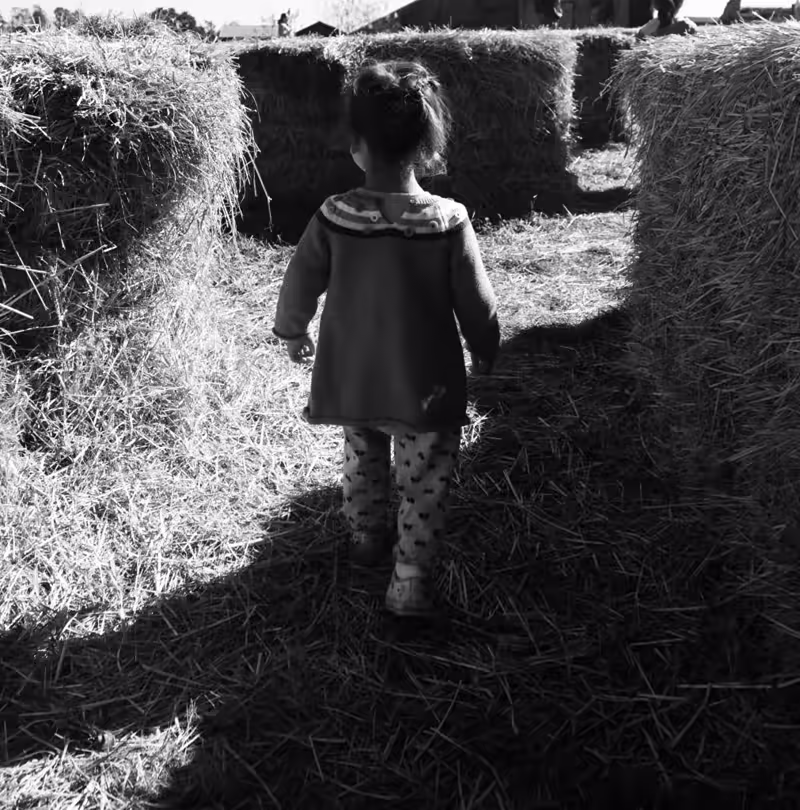 In the kiddie hay maze