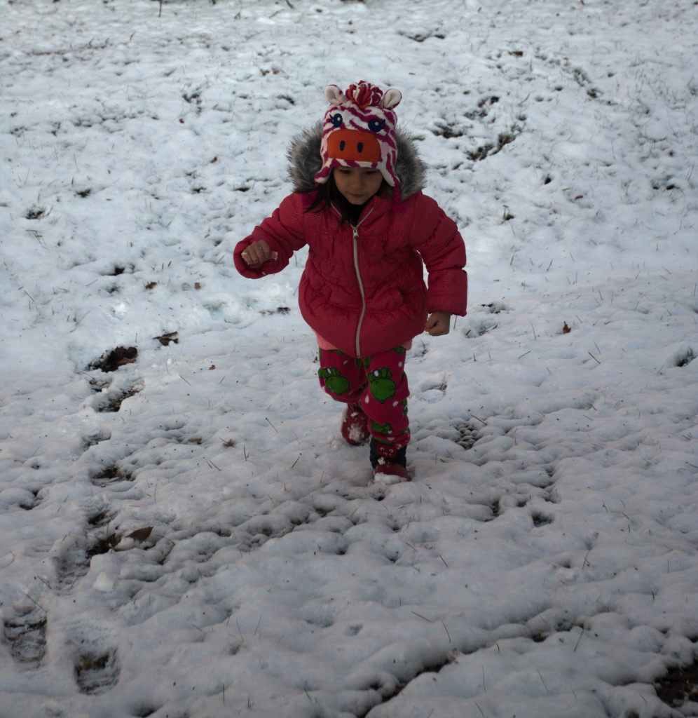 snow - 2017-12-10T12:12:13 - 002