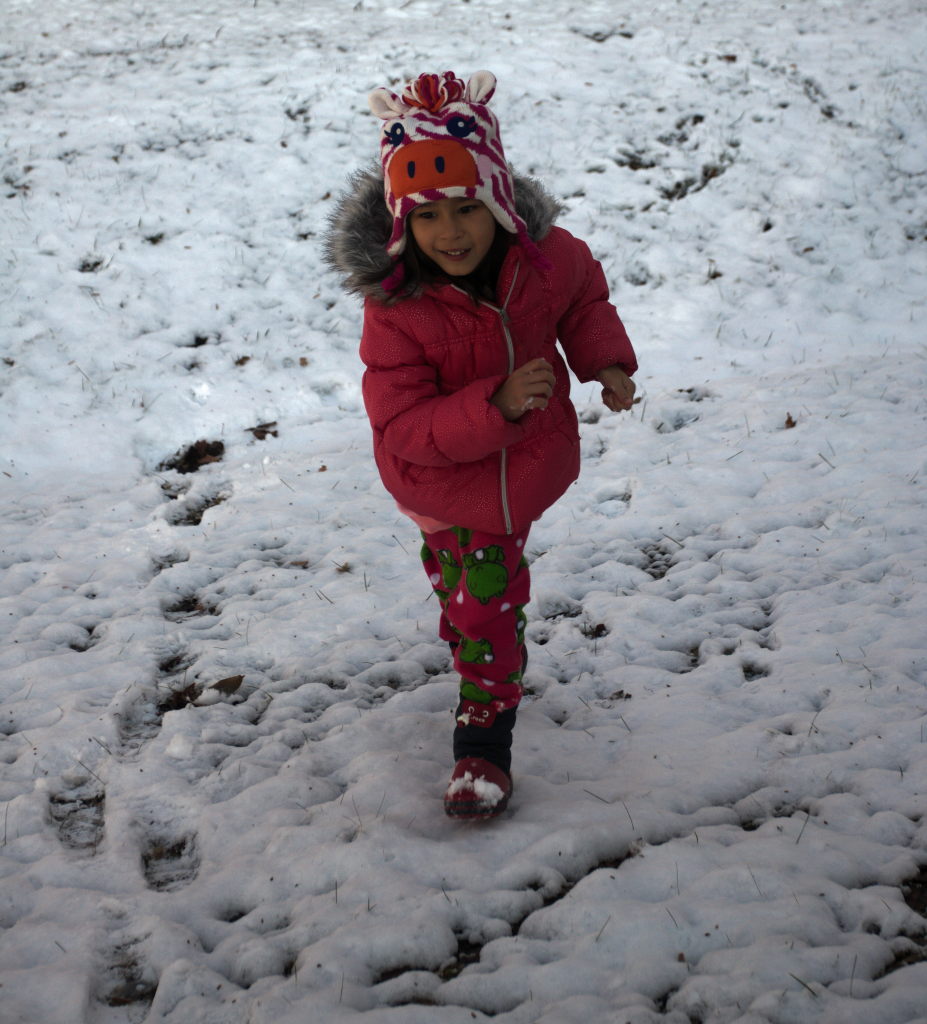 snow - 2017-12-10T12:12:13 - 003