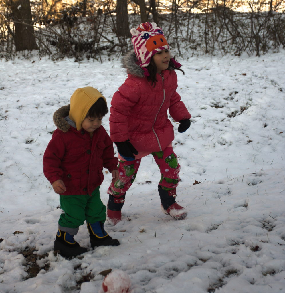 snow - 2017-12-10T12:18:11 - 038