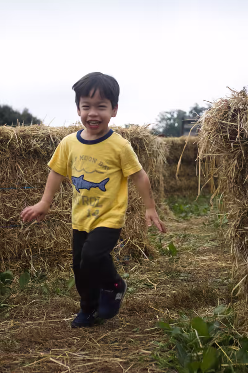 Hay Maze - 2018-10-07T09:11:23 - 003