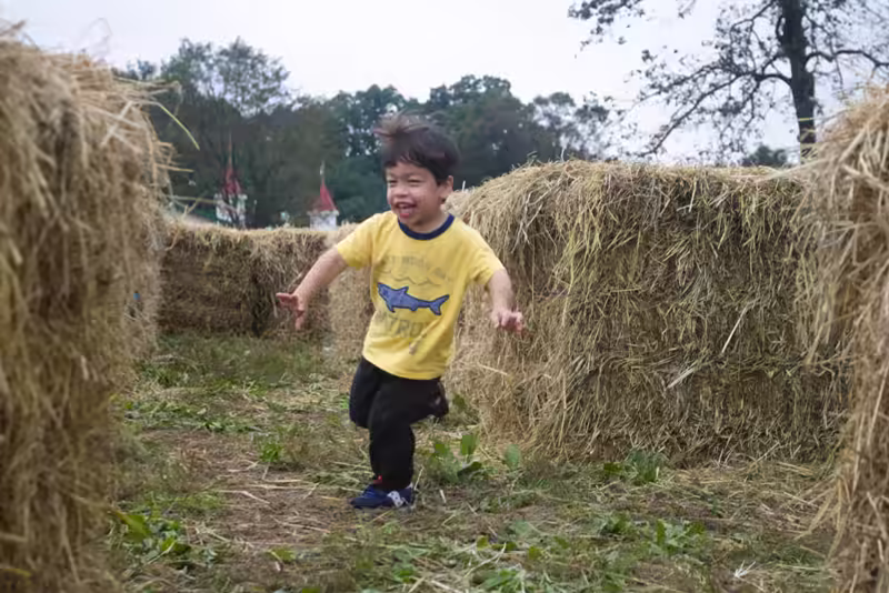 Hay Maze - 2018-10-07T09:13:02 - 023