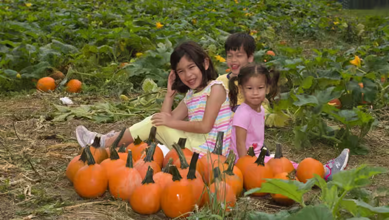 Pumpkin Patch Portraits- 2018-10-07T08:54:56 - 011