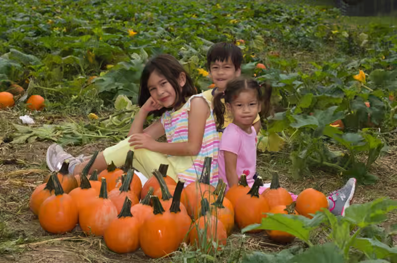 Pumpkin Patch Portraits- 2018-10-07T08:54:57 - 012