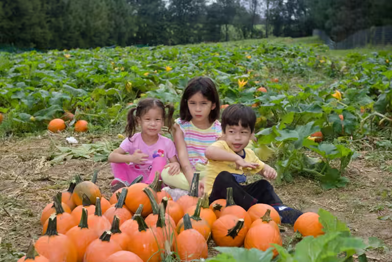 Pumpkin Patch Portraits- 2018-10-07T09:03:08 - 035