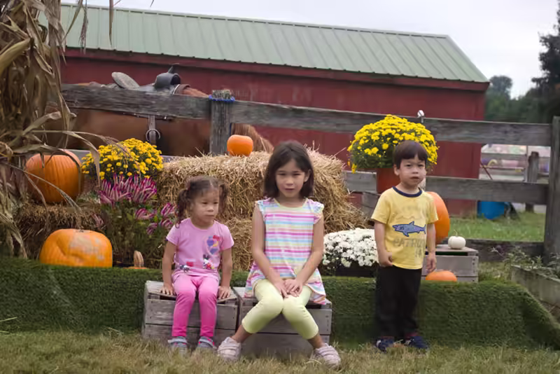 Tractor and Horse - 2018-10-07T09:18:53 - 023