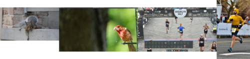 photography activity - 20230212