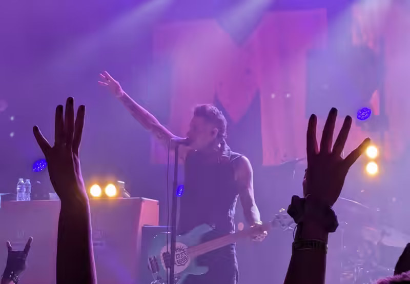Mike Herrera from MxPx on stage with arms in the foreground framing him