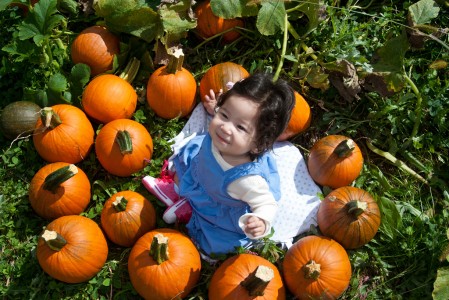 Scarlett at the Pumpkin Patch