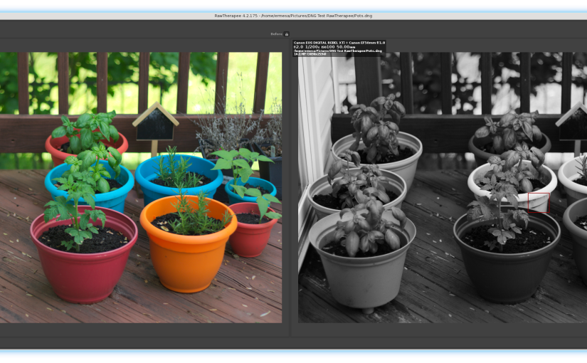 Creating a Black and White Image in RawTherapee