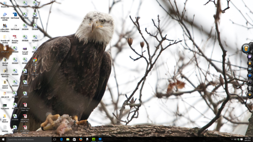 Windows 10 Desktop 20150810